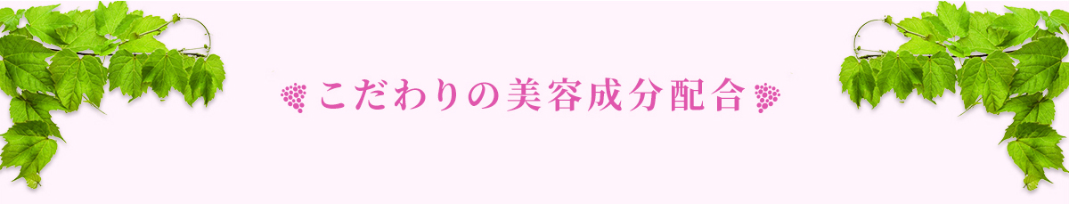 こだわりの美容成分配合