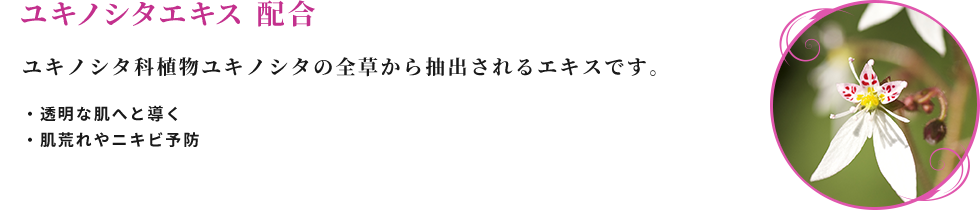 ユキノシタエキス配合 ユキノシタ科植物ユキノシタの全草から抽出されるエキスです。 ・透明な肌へと導く ・肌荒れやニキビ予防