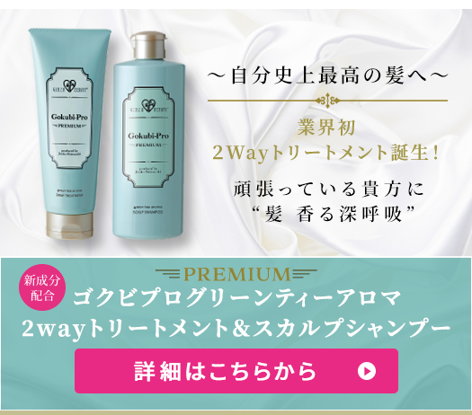 ～自分史上最高の髪へ～ 業界初2Wayトリートメント誕生！ 頑張っている貴方に髪香る深呼吸 ゴクビプログリーンティーアロマ2Wayトリートメント&スカルプシャンプー