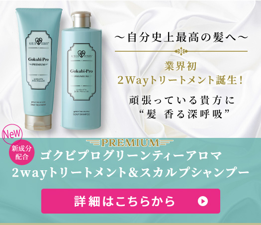 ～自分史上最高の髪へ～ 業界初2Wayトリートメント誕生！ 頑張っている貴方に髪香る深呼吸 ゴクビプログリーンティーアロマ2Wayトリートメント&スカルプシャンプー