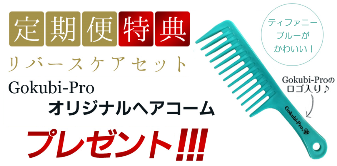 ゴクビプロ リバースケアセット