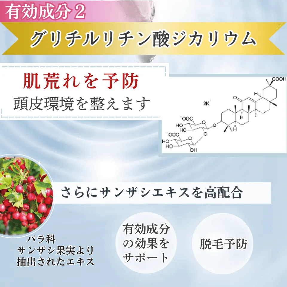 15種類の有効成分2