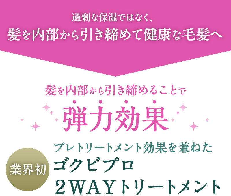 過剰な保湿ではなく、髪を内部から引き締めて健康な毛髪へ