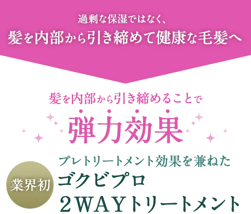 過剰な保湿ではなく、髪を内部から引き締めて健康な毛髪へ