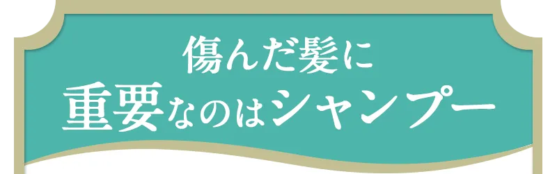 傷んだ髪に重要なのはシャンプー