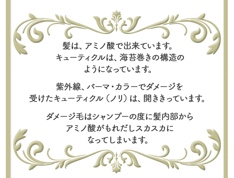 髪は、アミノ酸で出来ています。キューティクルは、海苔巻きの構造のようになっています。紫外線・パーマ、カラーでダメージを受けたキューティクル（ノリ）は、開き切っています。ダメージ毛はシャンプーの度に髪内部からアミノ酸がもれだしスカスカになってしまいます。