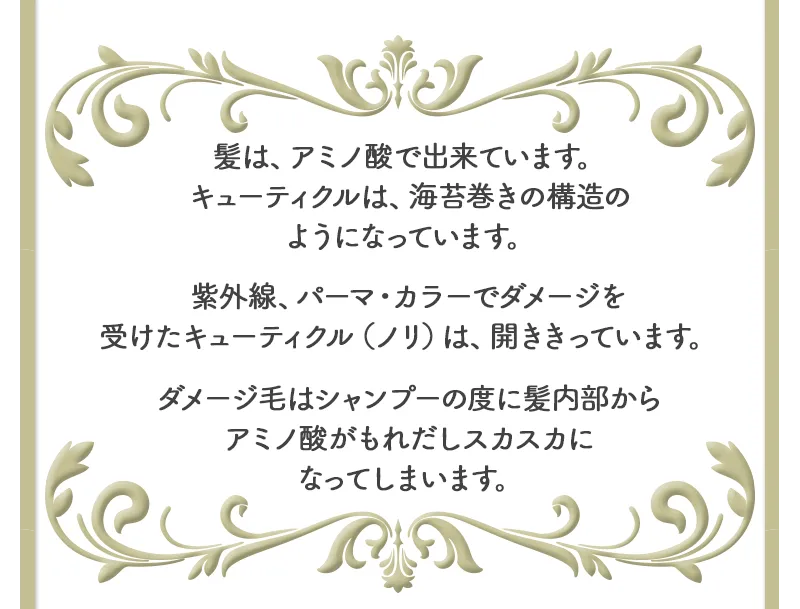髪は、アミノ酸で出来ています。キューティクルは、海苔巻きの構造のようになっています。紫外線・パーマ、カラーでダメージを受けたキューティクル（ノリ）は、開き切っています。ダメージ毛はシャンプーの度に髪内部からアミノ酸がもれだしスカスカになってしまいます。