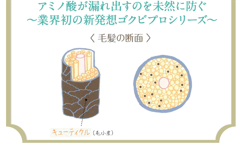 アミノ酸が漏れ出すのを未然に防ぐ〜業界初の新発想ゴクビプロシリーズ〜