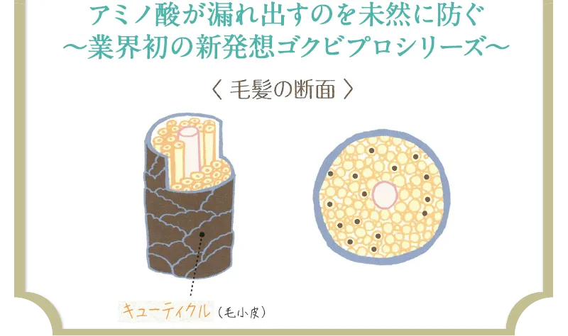 アミノ酸が漏れ出すのを未然に防ぐ〜業界初の新発想ゴクビプロシリーズ〜