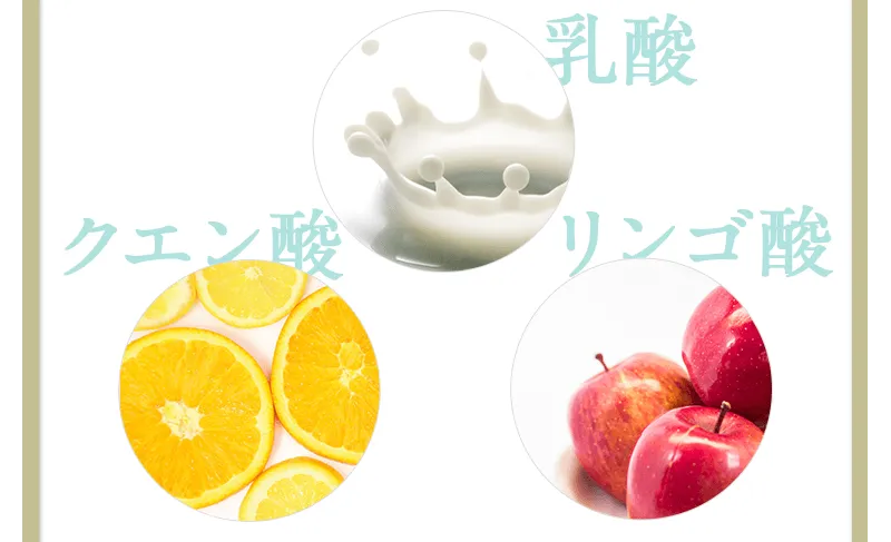 乳酸 クエン酸  リンゴ酸