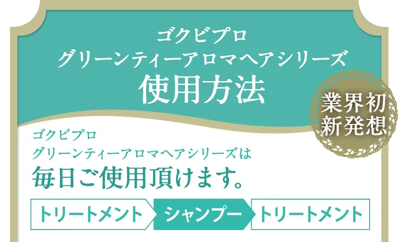 ゴクビプログリーンティーアロマヘアシリーズ使用方法