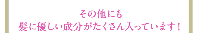 その他にも髪に優しい成分がたくさん！